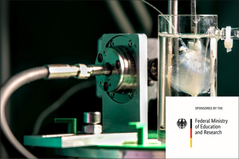 Förderung automatisierter Gewebe-Rekonstruktion durch das BMBF